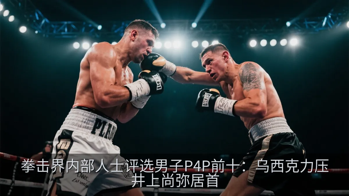拳击界内部人士评选男子P4P前十：乌西克力压井上尚弥居首